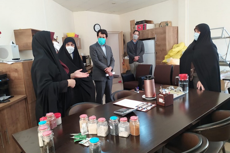 بازدید مدیرکل امور بانوان فارس از شرکت&zwnj;های دانش بنیان