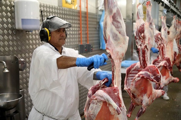 کمبود قصاب برای صنعت گوشت حلال نیوزیلند