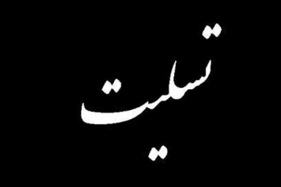 پیام تسلیت آیت الله شیخ محمد حسن انصاری نواده ی شیخ اعظم بمناسبت ارتحال آیت الله حاج سید محمد تقی حکیم ره