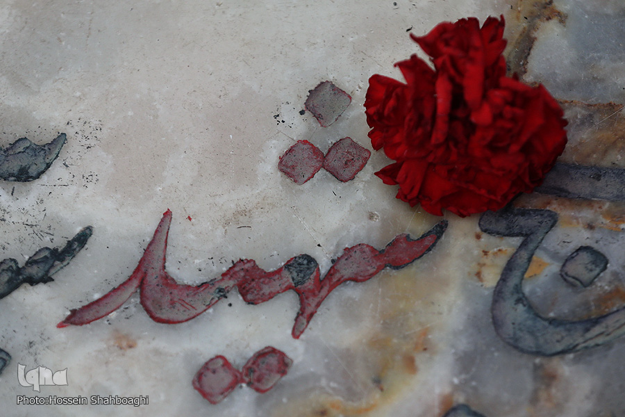 اجرای طرح &laquo;سلاله&zwnj;ها&raquo; در دزفول
