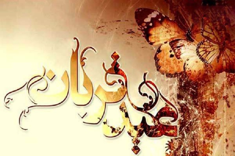 ذبح دام در معابر شهری البرز ممنوع شد
