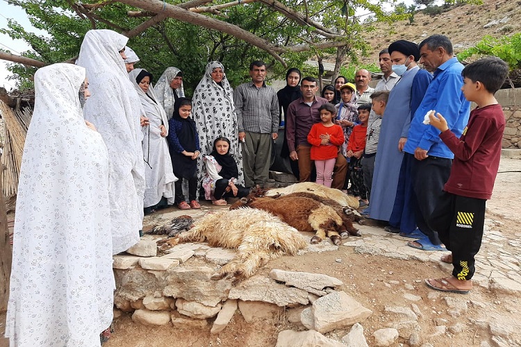 قربانی در روستای سادات امامزاده علی(ع) چرام