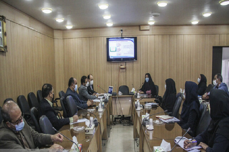 پیشتازی سمنان در اجرای طرح ملی مشاغل خانگی در کشور
