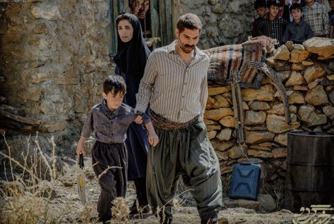 «درخت گردو» به بار نشست/ «خورشید» همچنان می درخشد