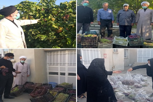 ارسالی| در قالب طرح &laquo;شجره طیبه&raquo; ۲۵۰ کیلوگرم انگور در سلماس اهدا شد