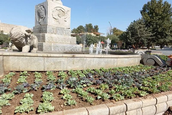 آغاز کاشت گلهای پاییزی در ملایر آغاز کاشت گلهای پاییزی در ملایر