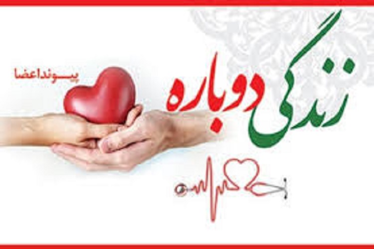اهدای اعضای بدن بیمار مرگ مغزی به بیماران نیازمند