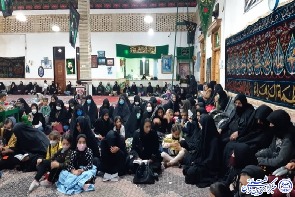 طرح &laquo;روضه رضا(ع)&raquo; در گندشمین برگزار شد + فیلم