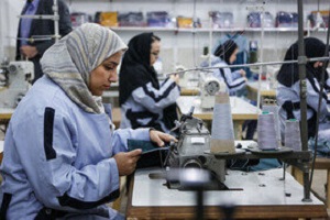 ایجاد شغل در بخش تعاون