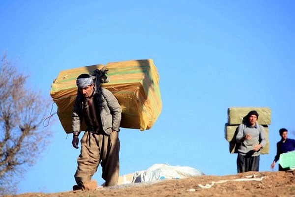 کولبران کولبر ترخیص کالا