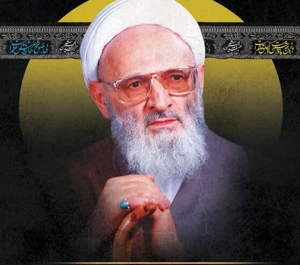 تعبیر علامه حسن‌زاده آمی درباره همسرش