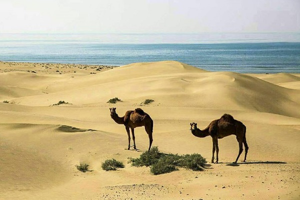 چرا اقلیم سیستان و بلوچستان هنوز ناشناخته است؟