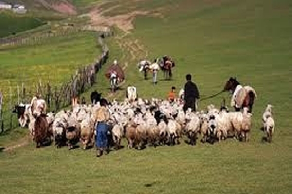 ارائه خدمات به عشایر اردبیل از طریق کارت هوشمند