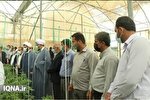 اجرای طرح‌های گلخانه‌ای موجب اشتغالزایی برای جوانان است