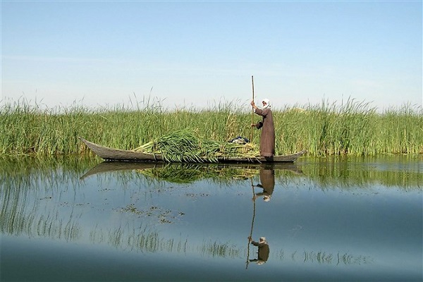 تالاب هامون 