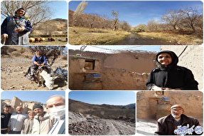 سالمندان؛ حافظ آخرین سنگر اقتصاد مقاومتی در روستا