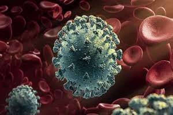 شناسایی ۶۸ مورد جدید مبتلا به کرونا ویروس در ایلام