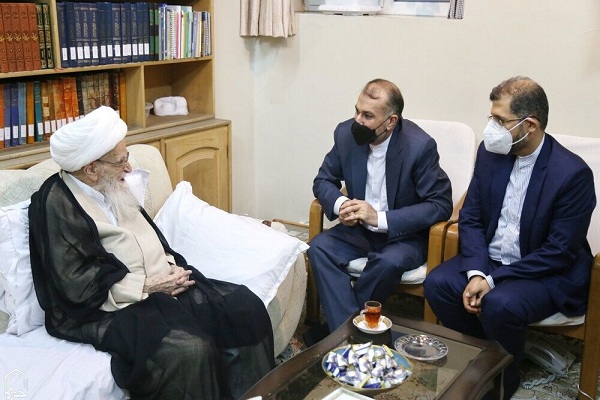 آیت&zwnj;الله صافی گلپایگانی مرجع تقلید شیعیان