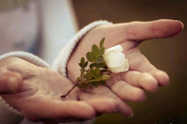 انفاق مهدوی 