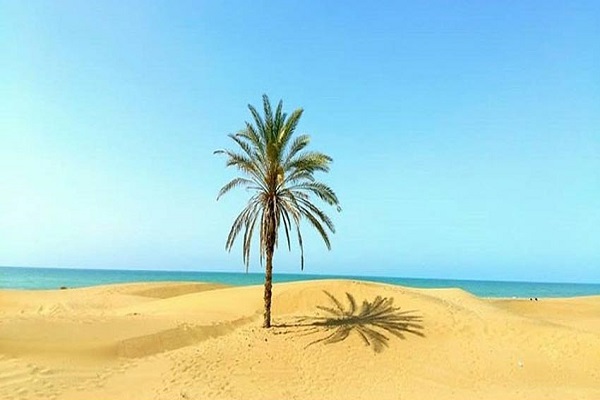 ساحل درک