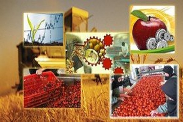 اشتغالزایی