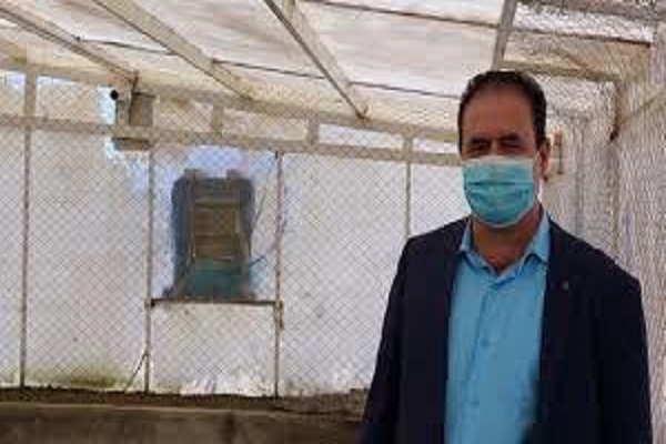 محمد جلیلی مدیر مجموعه پرورش کروکدیل