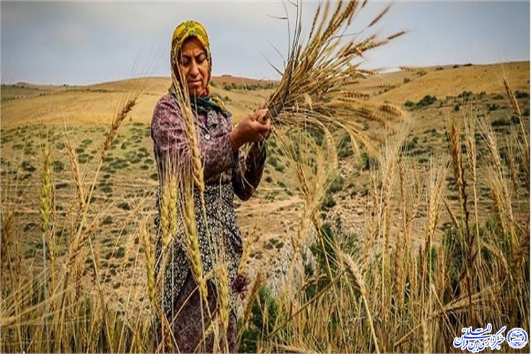 پرداخت بیش از ۲۷ میلیارد تومان زکات توسط مردم خراسان شمالی