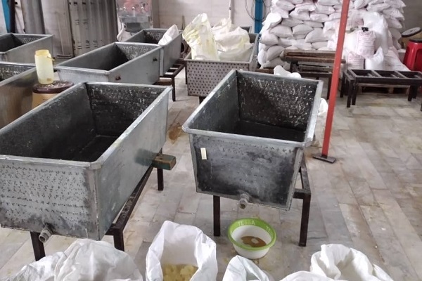 علی رضا مولایی، کارآفرین ساوه ای