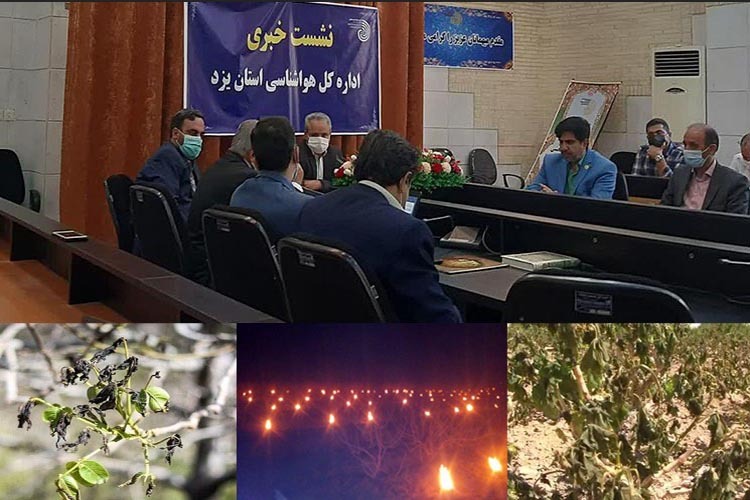 عمق فاجعه سرمازدگی و خسارت میلیاردی به باغات / شام غریبان کشاورزان یزدی