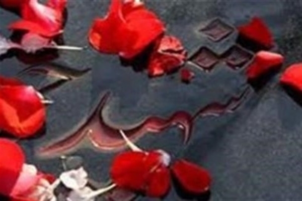  شهید نادر سالاروند از شهدای لرستان