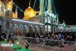 عکس | ضیافت الهی شب میلاد امام حسن(ع) در جوار حرم بانوی کرامت