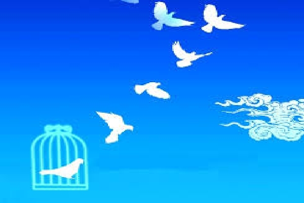 آزادی زندانیان جرائم مالی و غیر عمد در آذربایجان&zwnj;غربی