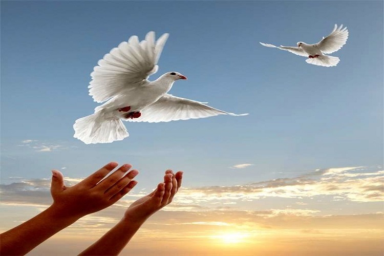 آزادی 70 زندانی جرائم غیر عمد در سمنان
