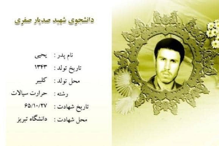 شهید صدیار صفری، دانشجوی شهید