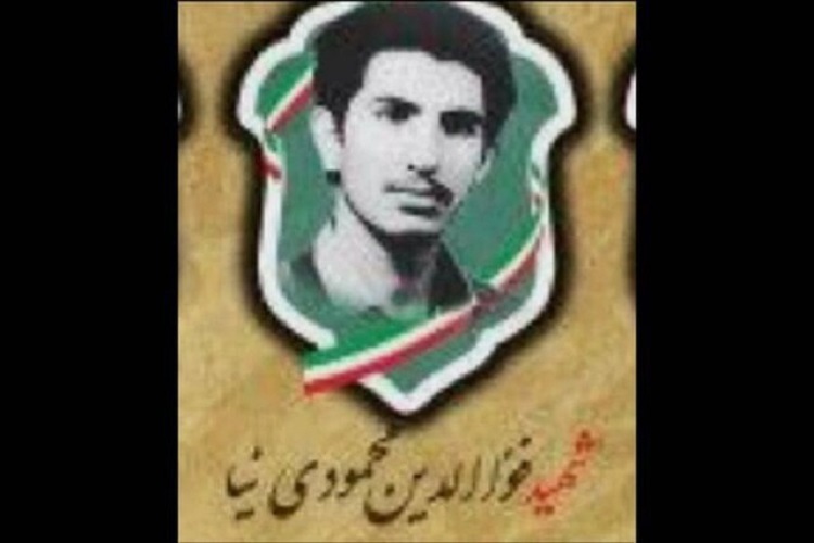 شهید فوالدین محمودی نیا، دانشجوی شهید