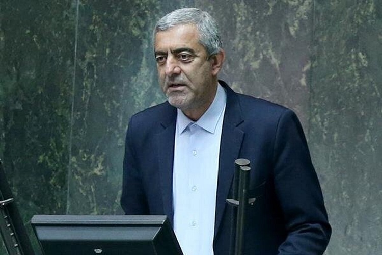 مجید انصاری، نماینده مردم نورآباد و ممسنی در مجلس
