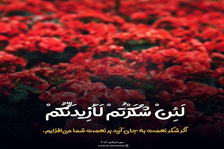پویش شکر نعمت