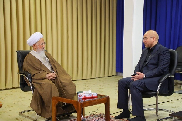 گزارش ایکنا از دیدار رئیس مجلس شورای اسلامی با چند تن از مراجع عظام تقلید