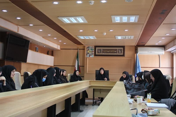 نشست کمیته زنان و خانواده دهه فجر استان کردستان نشست کمیته زنان و خانواده دهه فجر استان کردستان