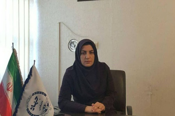 مریم بیرانوندزاده، معاون پژوهشی جهاد دانشگاهی لرستان