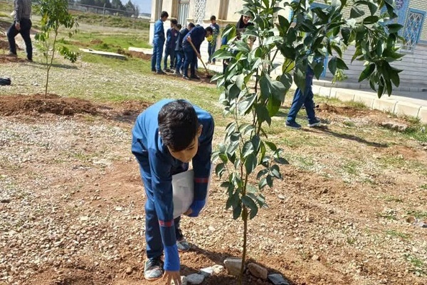 کاشت نهال