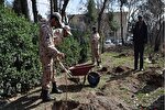 غرس ۲۵۰ هزار اصله نهال در تکاب