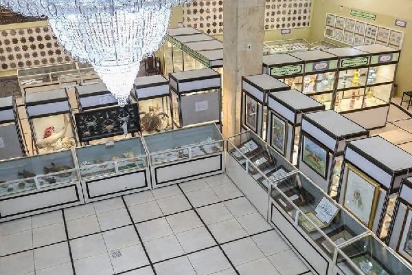 بازدید از موزه فاطمی رایگان شد