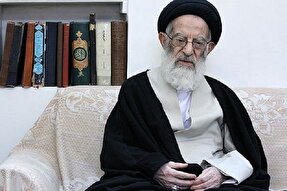 مبلغ زکات فطریه از سوی دفتر آیت‌الله شبیری‌زنجانی اعلام شد