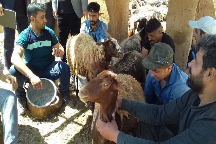 برپایی &laquo;جشنواره سنتی امامدر&raquo; در دیباج