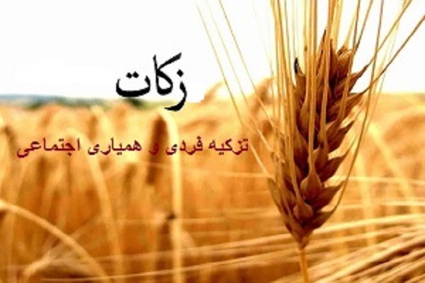 زکات مازندران
