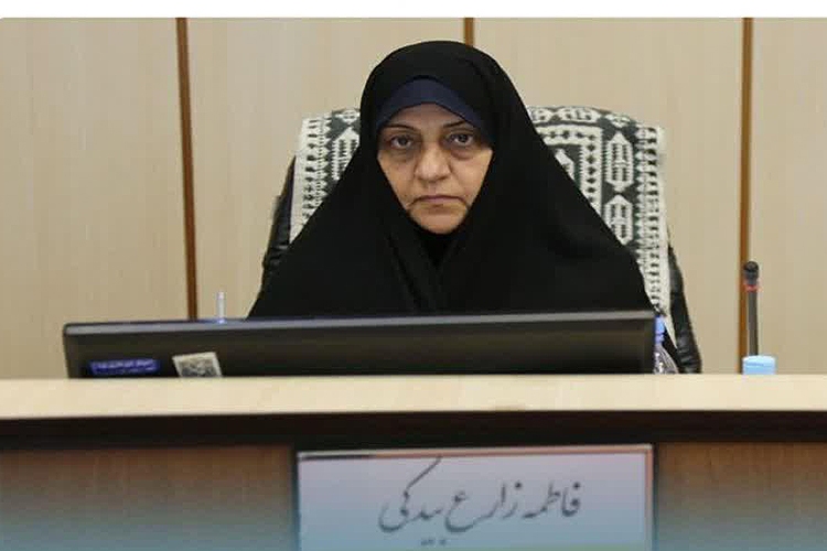 فاطمه زارع، شورای اسلامی شهر یزد