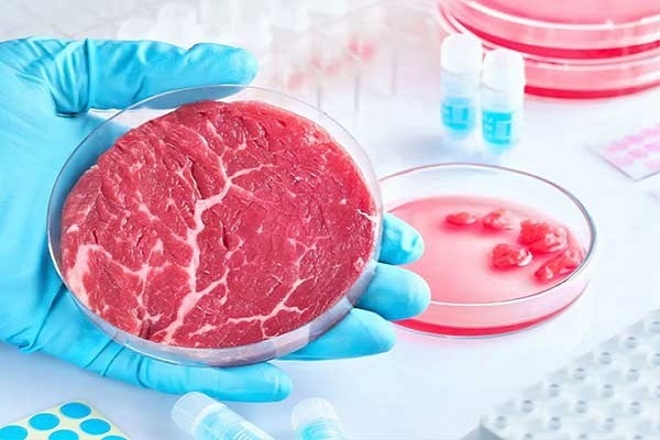 گوشت آزمایشگاهی و بودن یا نبودن در بازار حلال