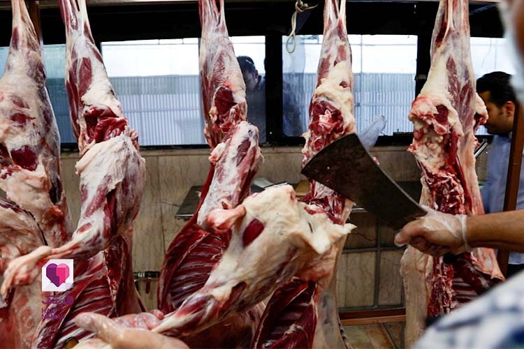 هم‌نمکی‌ها ۲۹ رأس دام در عید قربان ذبح کردند