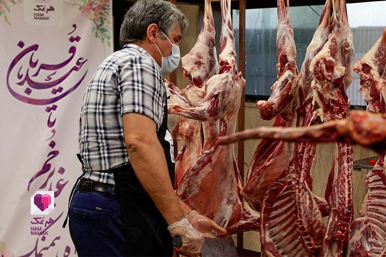 هم‌نمکی‌ها ۲۹ رأس دام در عید قربان ذبح کردند